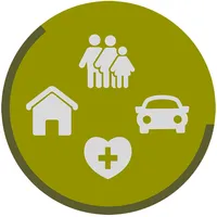 seguros icon