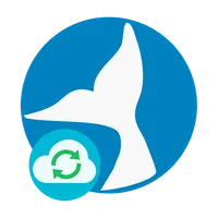 NO PROBLEM NUBE icon