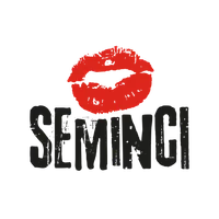 67SEMINCI icon