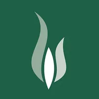 Safeguarding.ie icon