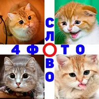 4 Фото 1 Слово. Где логика? icon