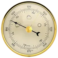 Professional barometer icon