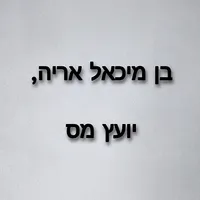 בן מיכאל אריה, יועץ מס icon