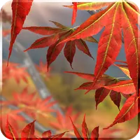 Autumn Tree Free Wallpaper icon