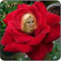 Flower Photo Editor icon