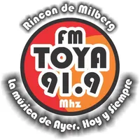FM TOYA 91.9 RDM icon