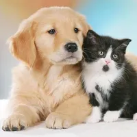 My Animals icon