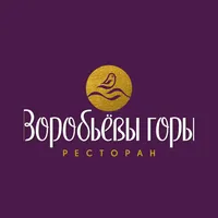 Воробьевы горы Москва icon