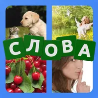 4 фото 1 слово на русском ч.2 icon