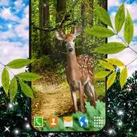 Forest Live Wallpaper icon