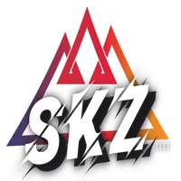 Team skz icon