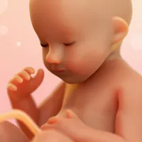 WeMoms Pregnancy Baby Tracker icon