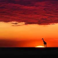 Nature Pictures HD Wallpapers icon