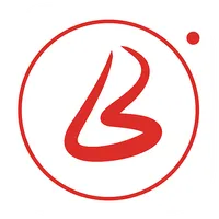 Brafie Provider icon