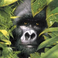 Gorilla Wallpapers icon
