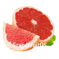 Grapefruit - Virtual OS icon
