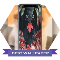 cute Dogs Live Wallpapers 4K icon