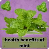 health benefits of mint icon