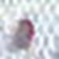 FishDisease icon