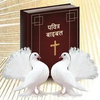 Bible Hindi icon