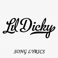 Lil Dicky Lyrics icon