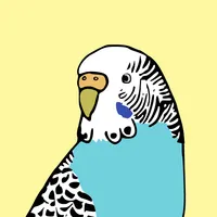 Budgiegenex icon