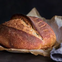 Sourdough starter icon