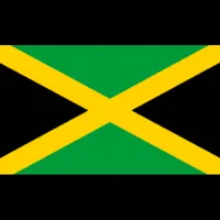 Flag Identification icon