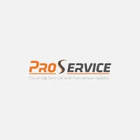 Pro Service icon