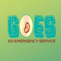 GOES icon