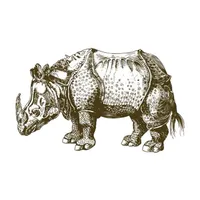 Geographia icon