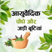 Ayurvedic Paudhe icon