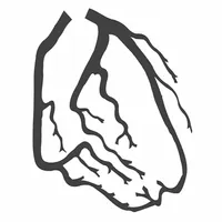 Hridayam icon