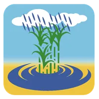 Ikshu Kedar icon
