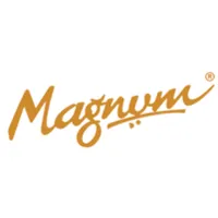 Magnum Hardware icon