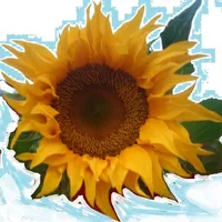 Ackerbau17 (1.7.9) icon