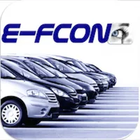 E-FCON Führerscheinkontrolle icon