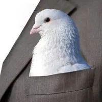 Dove Voice Alarm icon