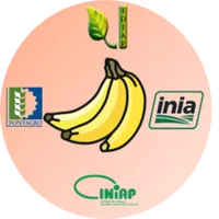 Más Banano icon