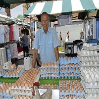 Egg Dealer icon