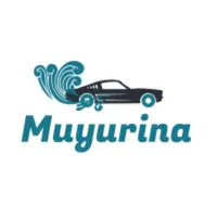 Seguritaxi Conductor icon