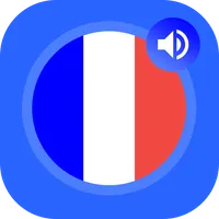 French Phrases Offline - Frenc icon