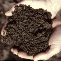 Vermicomposting Earthworm Prac icon