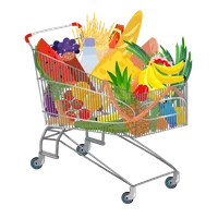 Grocery App Demo icon
