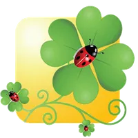 Che Fortuna Free icon
