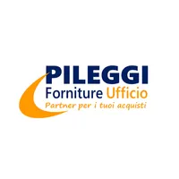 Pileggi Ufficio icon
