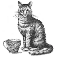 Babingtons icon