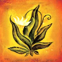 Le Carte di Don Miguel Ruiz icon