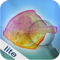 Fishbook Lite icon