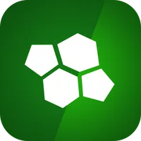 fmsReVo fantaBlink icon